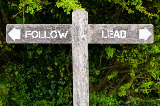 Wooden signpost with two opposite arrows over green leaves background. FOLLOW versus LEAD directional signs, Choice concept image