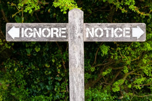 Wooden signpost with two opposite arrows over green leaves background. IGNORE versus NOTICE directional signs, Choice concept image