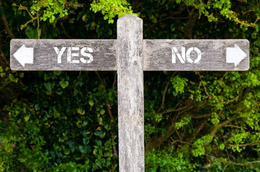 Wooden signpost with two opposite arrows over green leaves background. YES versus NO directional signs, Choice concept image