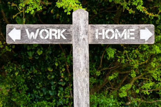 Wooden signpost with two opposite arrows over green leaves background. Work versus Home directional signs, Choice concept image