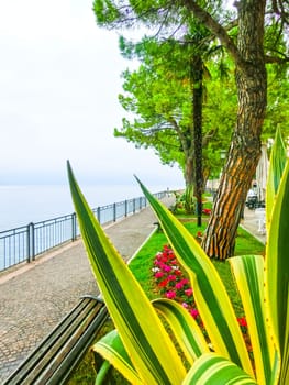 The walkway on the shore, Lake Garda, Italy, Europe