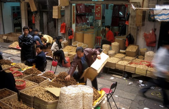 the Market in the city of Canton or Guangzhou in the north of Hongkong in the province of Guangdong in china in east asia.