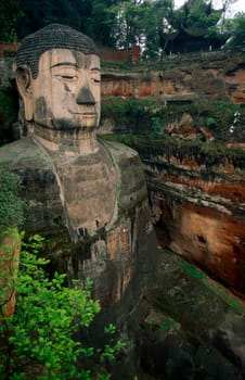 the big Buddha near the city of Leshan in the provinz Sichuan in China in eastasia.