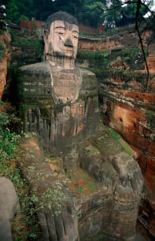the big Buddha near the city of Leshan in the provinz Sichuan in China in eastasia.