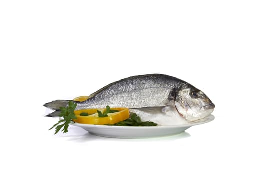 Large fish sea bream orata gutted on the preparation table