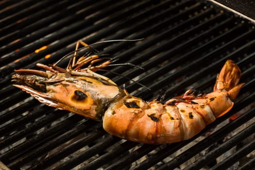 Grilled prawns on the grill. Shallow dof.