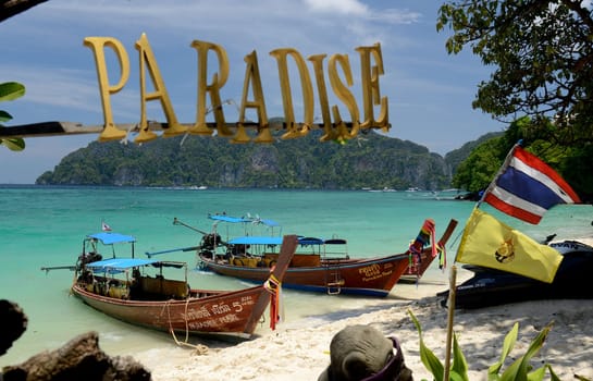 A Beach on the Island of Ko PhiPhi on Ko Phi Phi Island outside of the City of Krabi on the Andaman Sea in the south of Thailand.