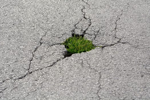 Road surface in need of refurbishment