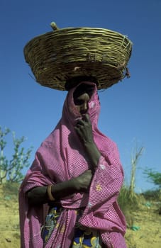 a women in the town of Jaisalmer in the province of Rajasthan in India.