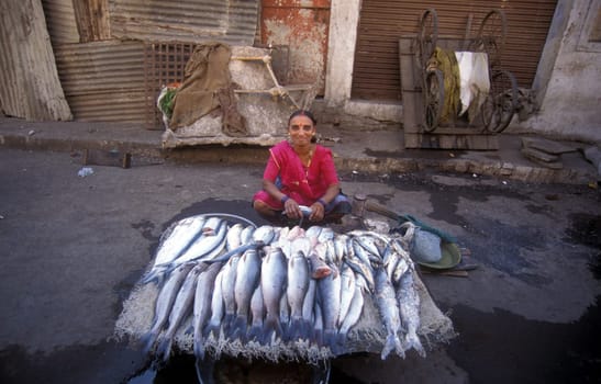 a women sales fish at the market in the city of Surat in the Province of Gujarat in India.
