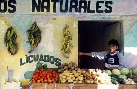 a Market in the city of Tela near San Pedro Sula on the caribian sea in Honduras in Central America