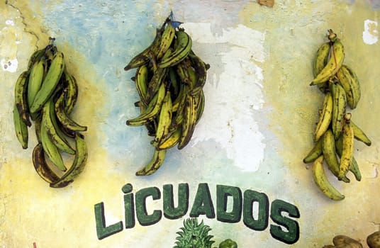 a Market in the city of Tela near San Pedro Sula on the caribian sea in Honduras in Central America