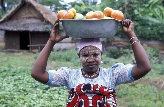 a woman in the city of Moutsamudu on the Island of Anjouan on the Comoros Ilands in the Indian Ocean in Africa.