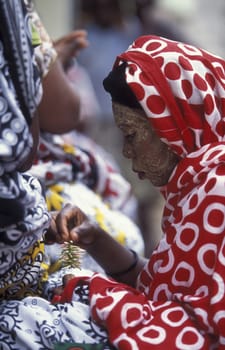 a wedding ceremony in the city of Moutsamudu on the Island of Anjouan on the Comoros Ilands in the Indian Ocean in Africa.