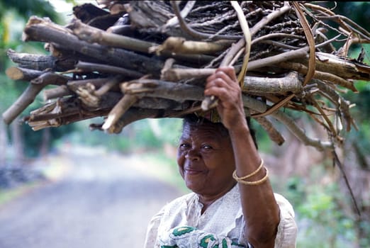a woman in the city of Moutsamudu on the Island of Anjouan on the Comoros Ilands in the Indian Ocean in Africa.