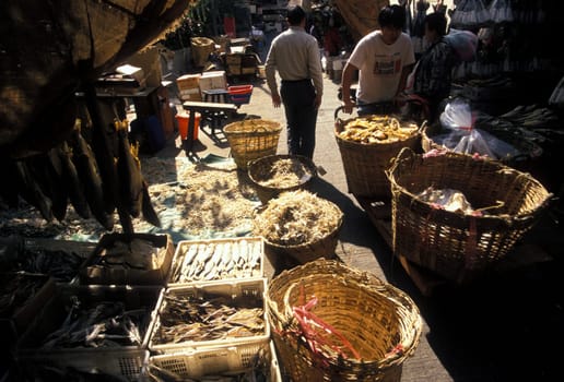 a food Market in Kowloon in Hong Kong in the south of China in Asia.