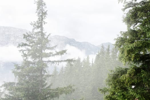Morning fog on the high mountain, Austria