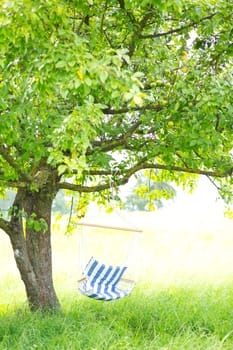 relax in the hammock chair