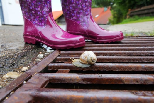 Rubber boots are ideal in rainy weather. A snail on the Gulli