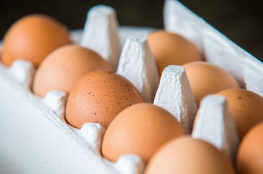 chiken eggs packed in a box.
