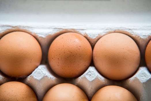 chiken eggs packed in a box.