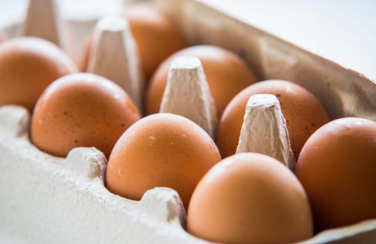 chiken eggs packed in a box.