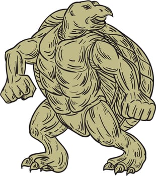 Drawing sketch style illustration of a Kemp's ridley sea turtle or Lepidochelys kempii in a martial arts stance viewed from front set on isolated white background.