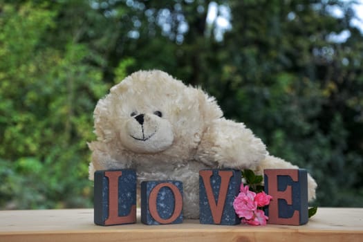 White Teddy Bear with Love Stones in front of green nature background and pink roses
