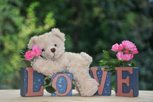 White Teddy Bear lies on Love Stones in front of green nature background with pink roses