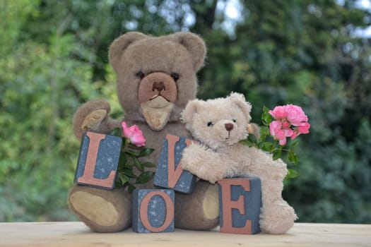 An antique and a white teddy bear with love stones against green nature background and pink roses