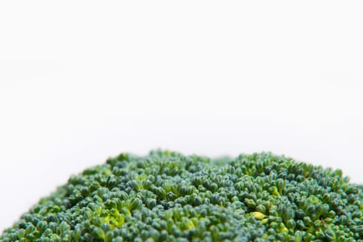 close up on fresh broccoli solated on a white background