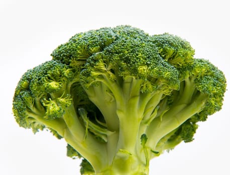fresh broccoli solated on a white background