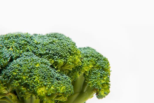 close up on fresh broccoli solated on a white background