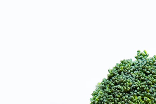 close up on fresh broccoli solated on white background