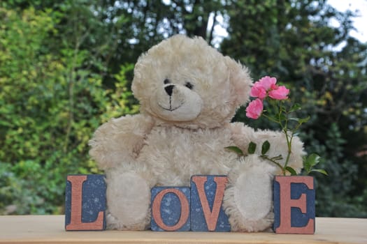 White Teddy Bear with Love Stones in front of green nature background and pink roses