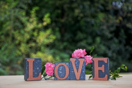 Building blocks with Love lettering with pink rose against a green natural background