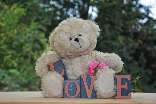 White Teddy Bear with Love Stones in front of green nature background and pink roses