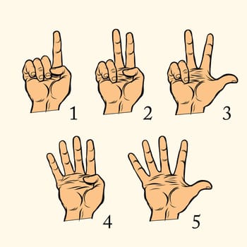 Set of hand gestures count 1 2 3 4 and 5, pop art retro vector illustration. One two three four five