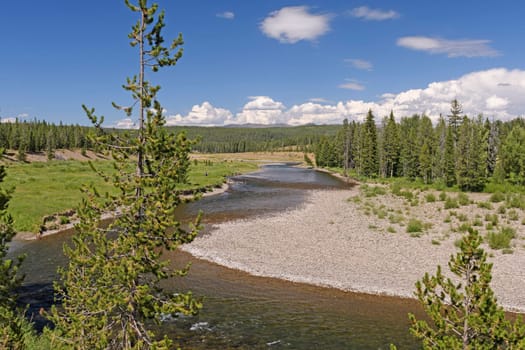 Rushing Snake River in Yellowstone National Park in Wyoming