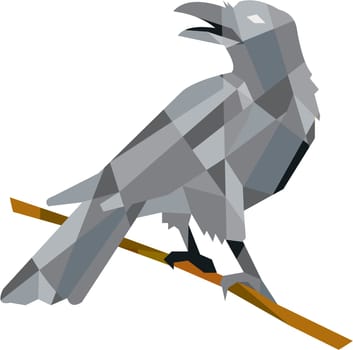 Low polygon style illustration of a crow bird perched on a piece of wood looking back set on isolated white background. .