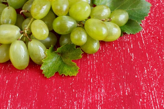 White grapes on a red Background close up