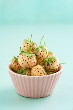 Fresh raw pineberries in a pink bowl