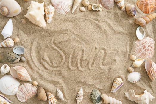 Collection of mussels in the sand with the word sun in the center