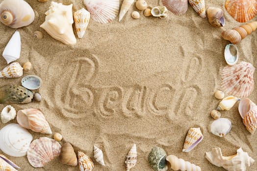Collection of mussels in the sand with the word beach in the center