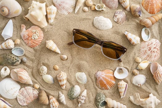 Collection of mussels in the sand with sunglasses