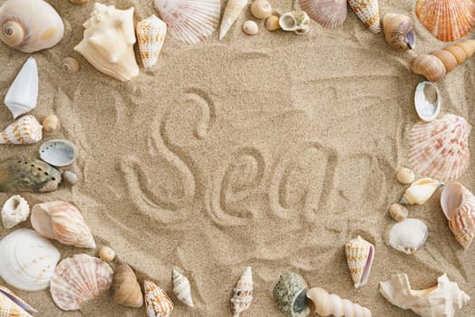 Collection of mussels in the sand with the word sun in the center