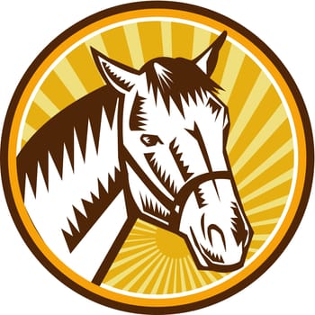 Illustration of a horse head set inside circle with sunburst in the background done in retro woodcut style.