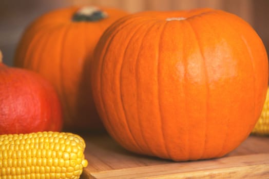 pumpkins and corn arrangement on wooden background