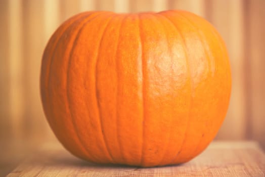 close up on pumpkin on wooden background