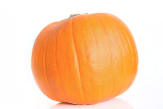 fresh orange pumpkin isolated on white background